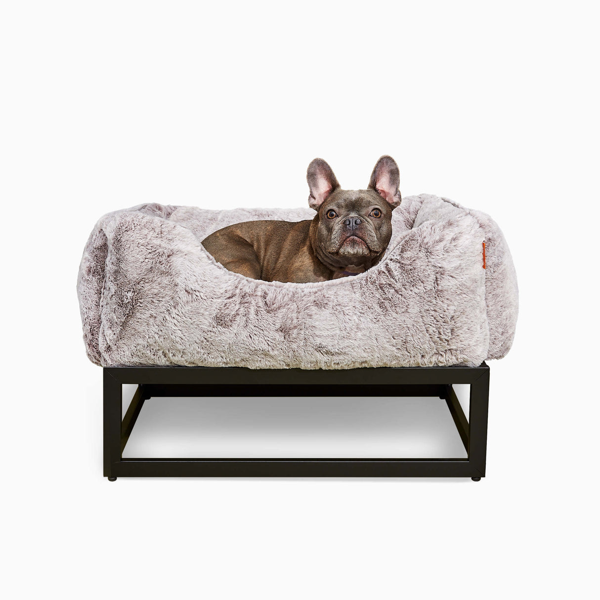 The FÜZI Dog Bed