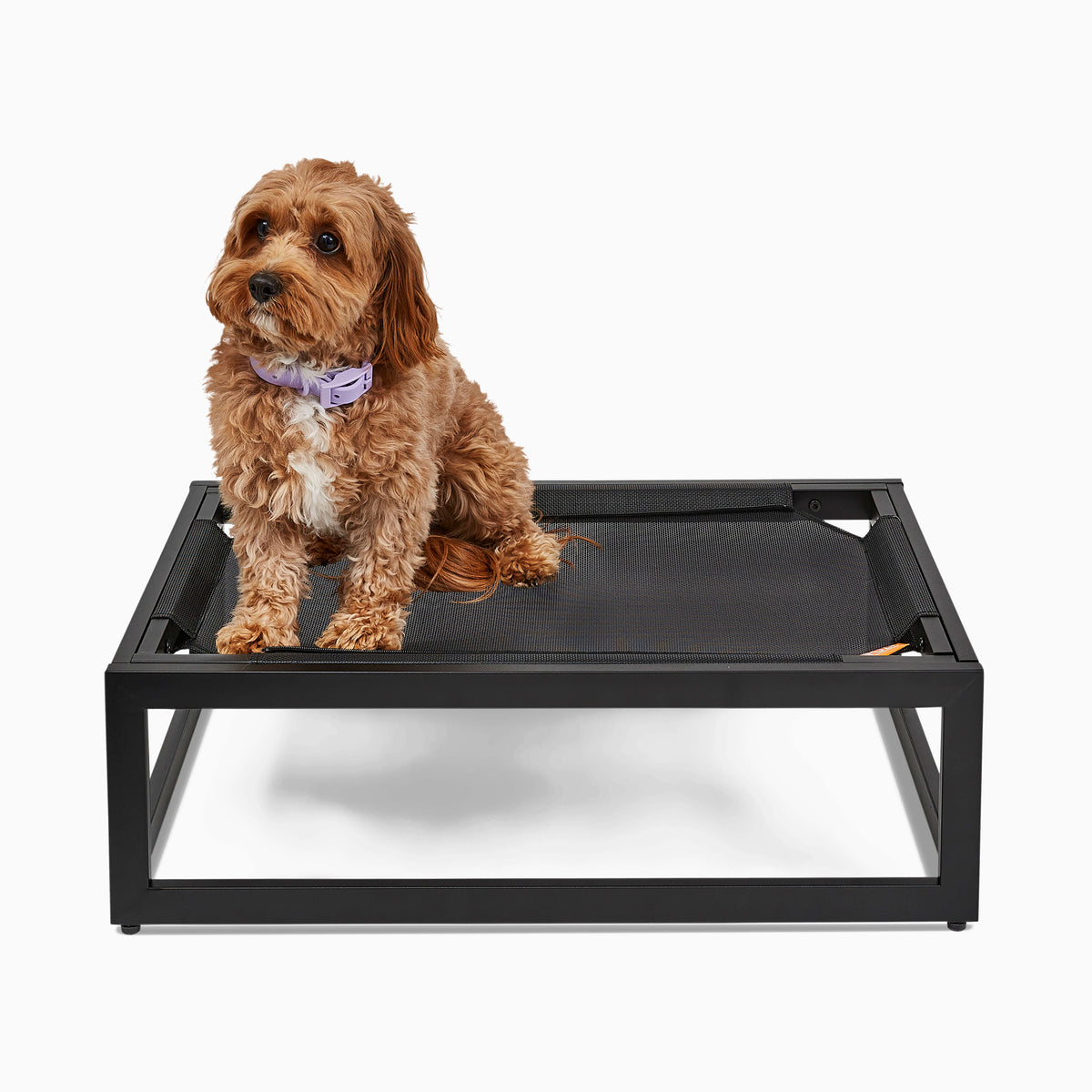 The Up Pup Dog Cot