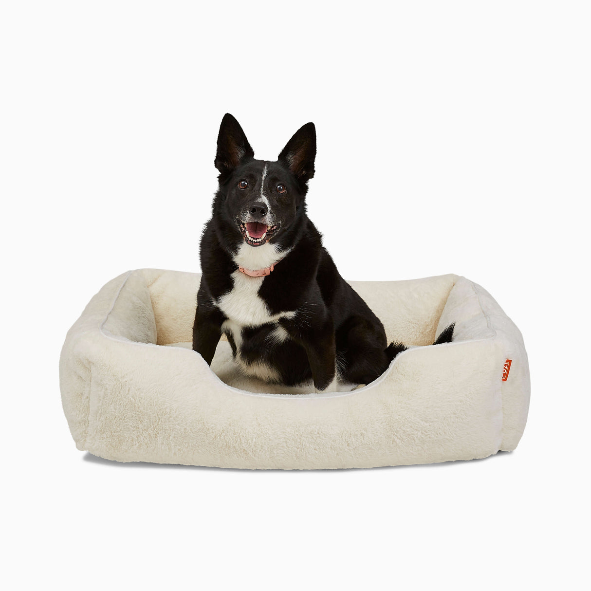 The Sammy Dog Bed
