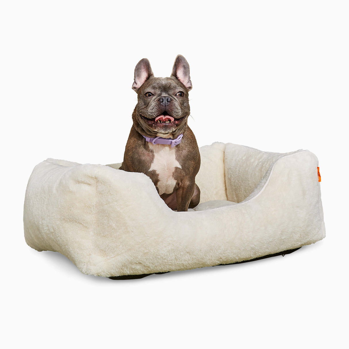 The Sammy Dog Bed