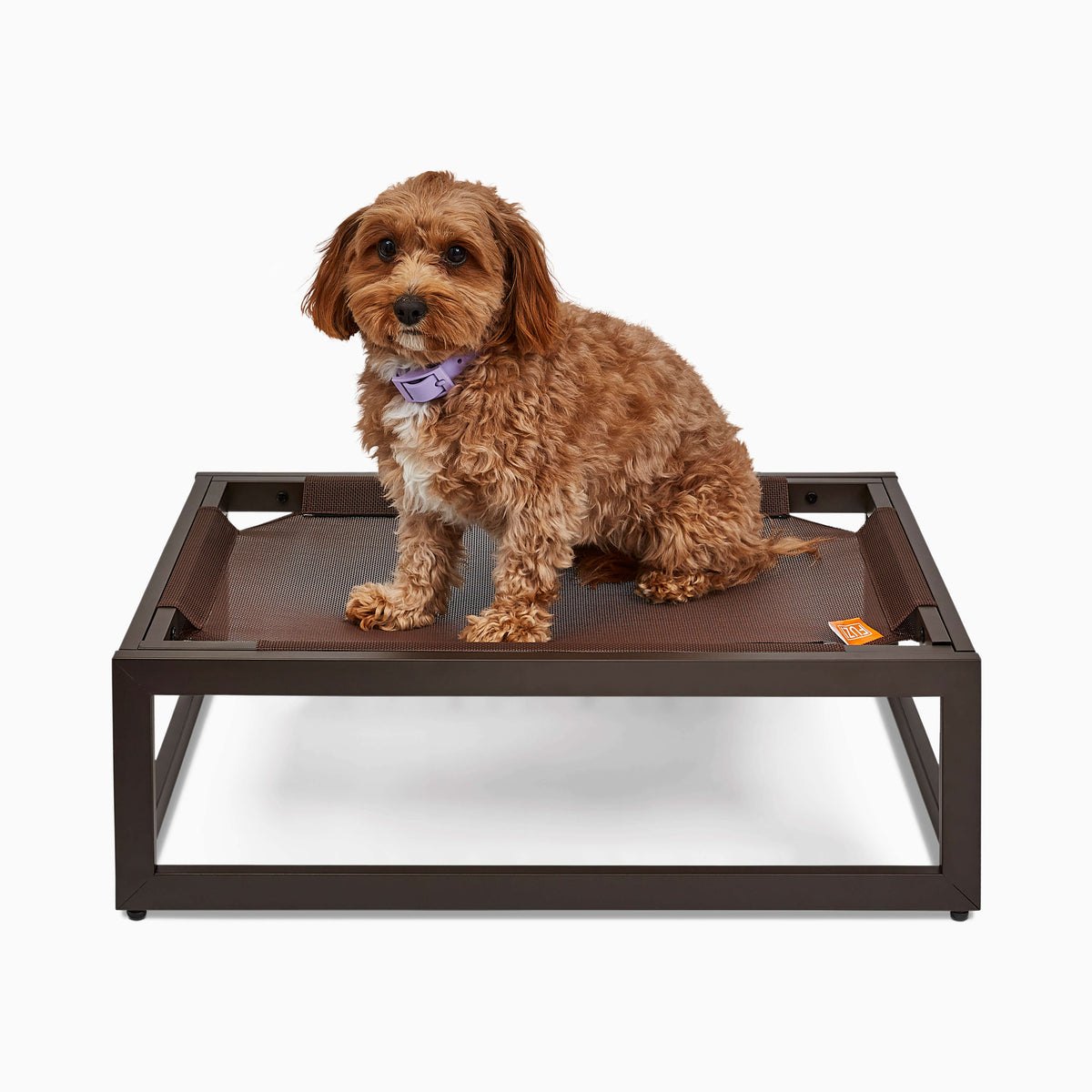 The Up Pup Dog Cot