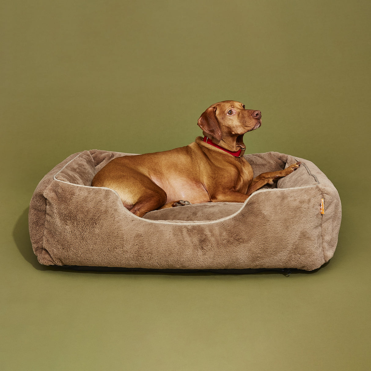 The Sammy Dog Bed