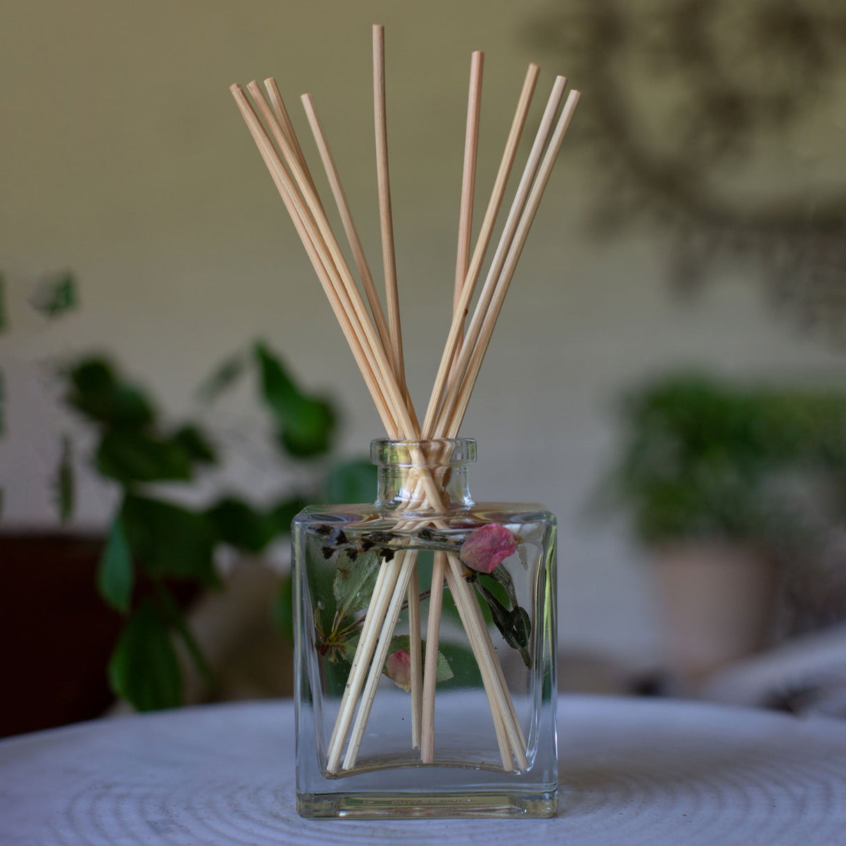 Accent Botanical Reed Diffuser - Apricot Rose