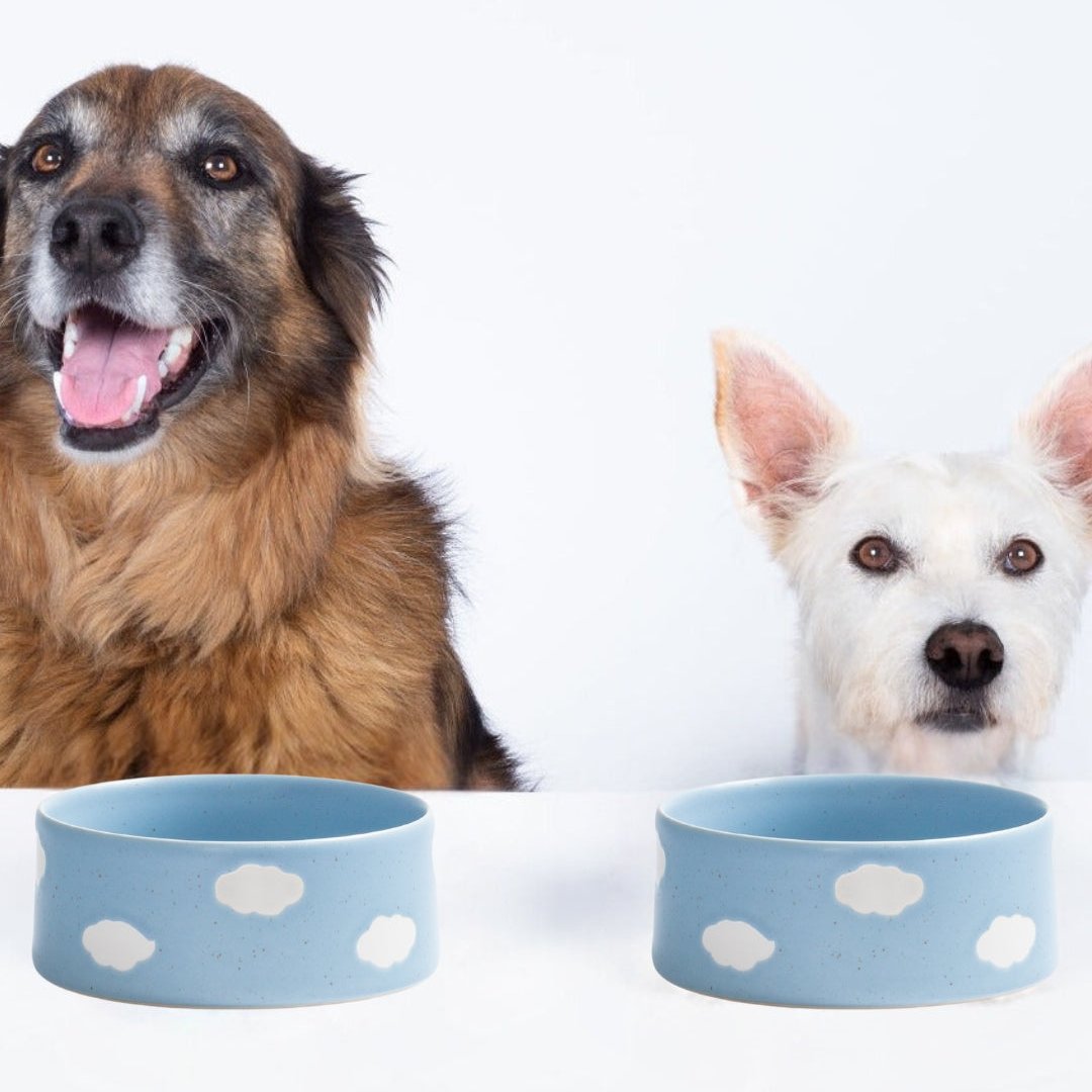 Set of 2 Blue Large stoneware ceramic Pet Bowls — Cloud Collection