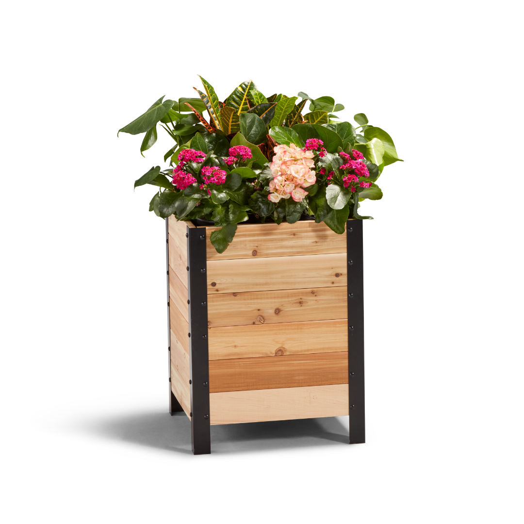 Cedar Planter Box, 18″W x 18″L