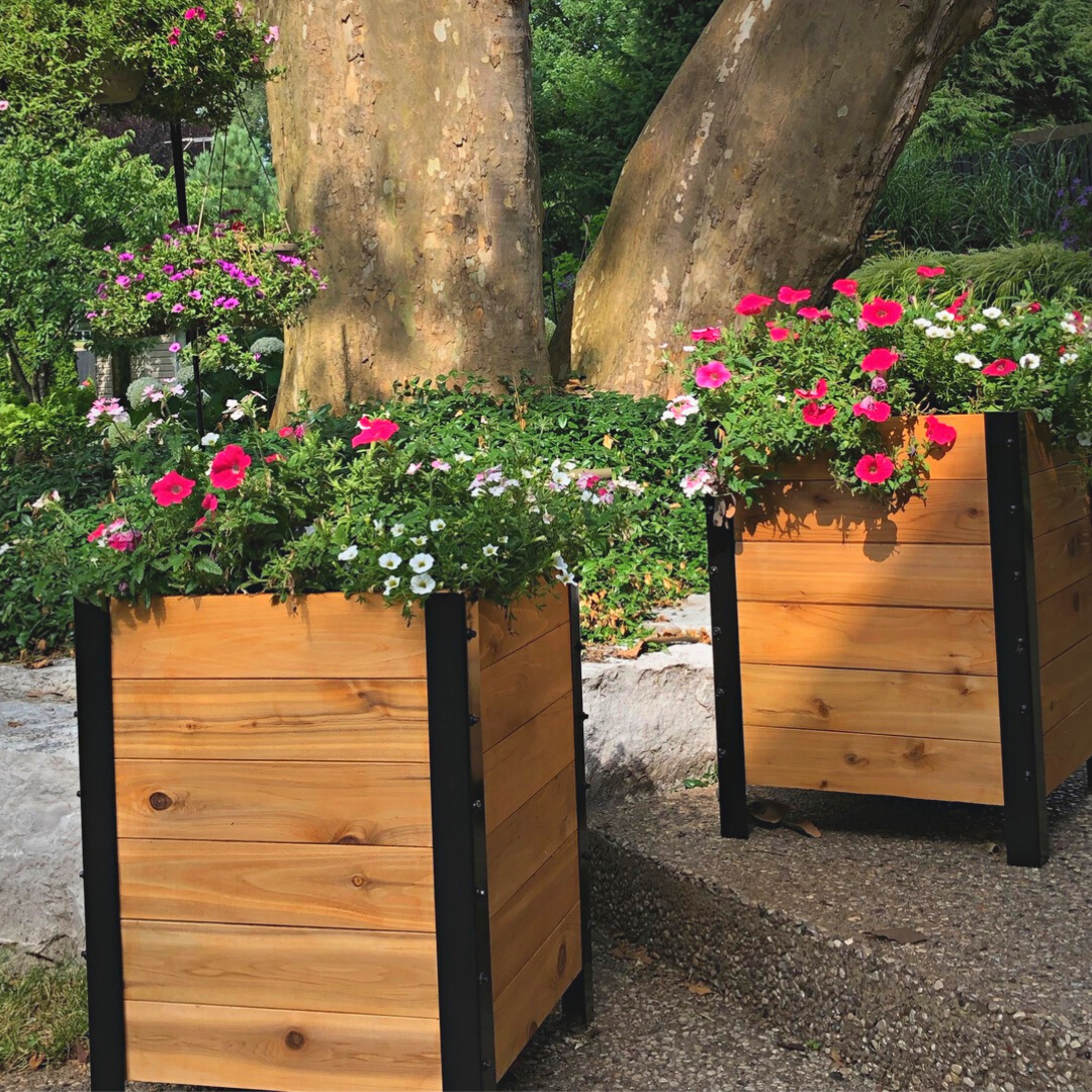 Cedar Planter Box, 18″W x 18″L