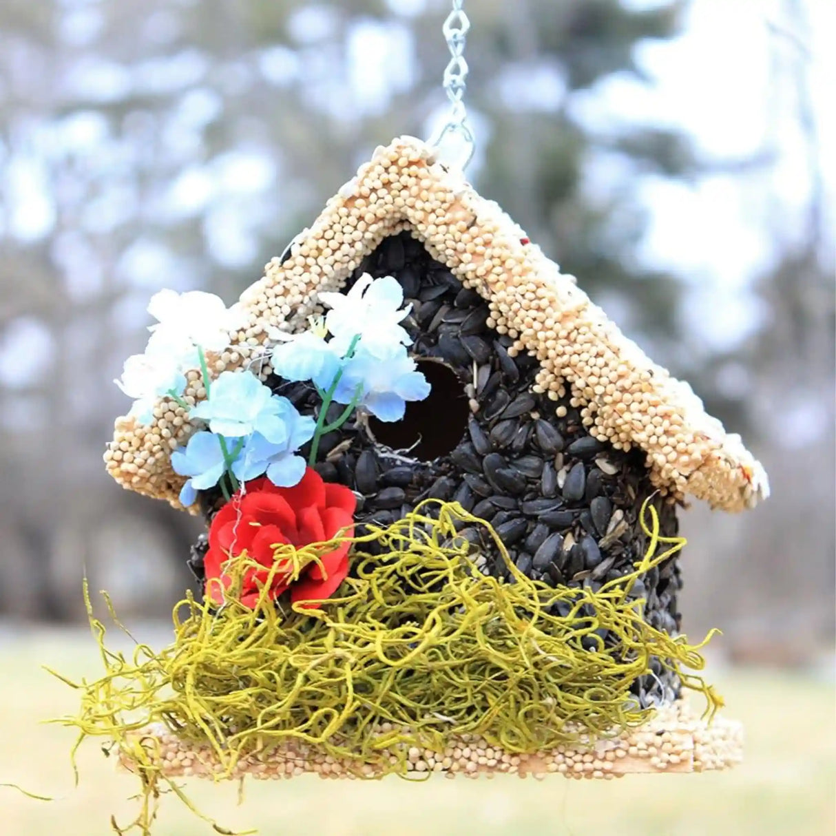 SHort Handmade Edible Birdhouse with Light Roof