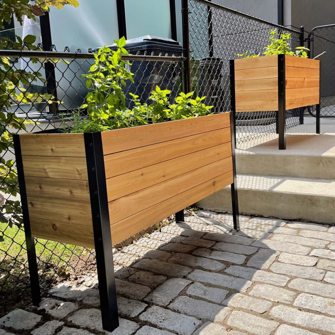 Cedar Raised Garden Bed, 18"W x 48"L