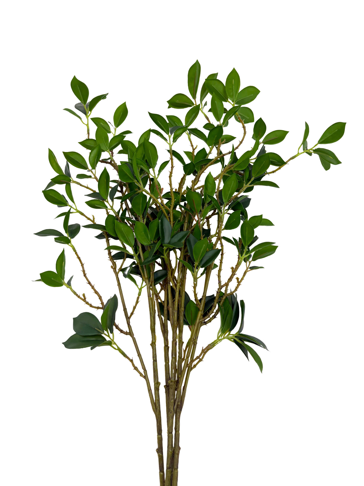 Real Touch Fiscus Microcarpa Stem - Bundle of 4 Stems