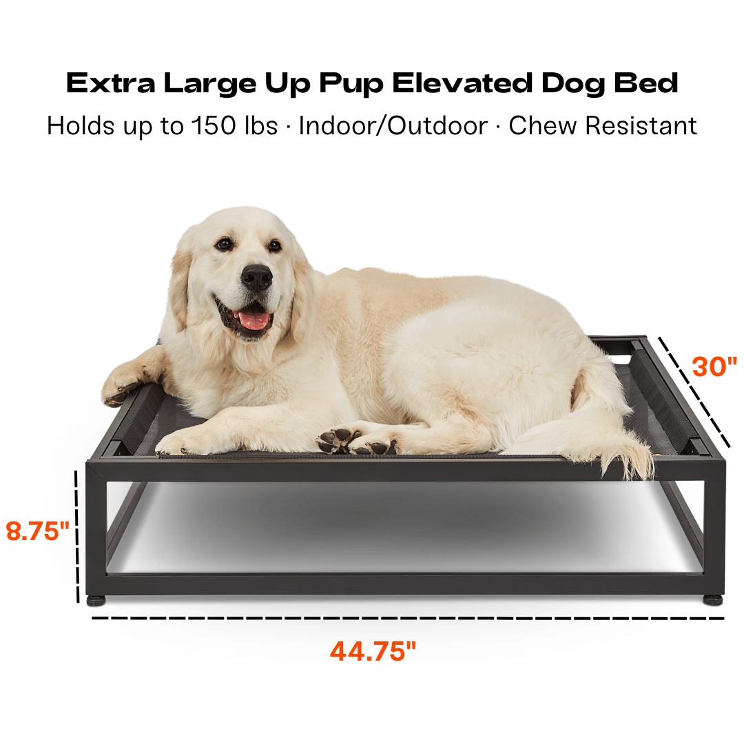 The Up Pup Dog Bed