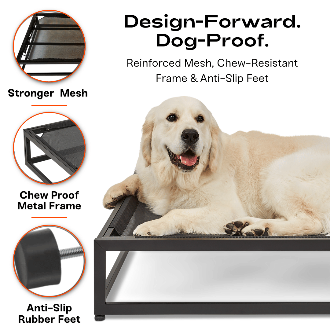 The Up Pup Dog Cot