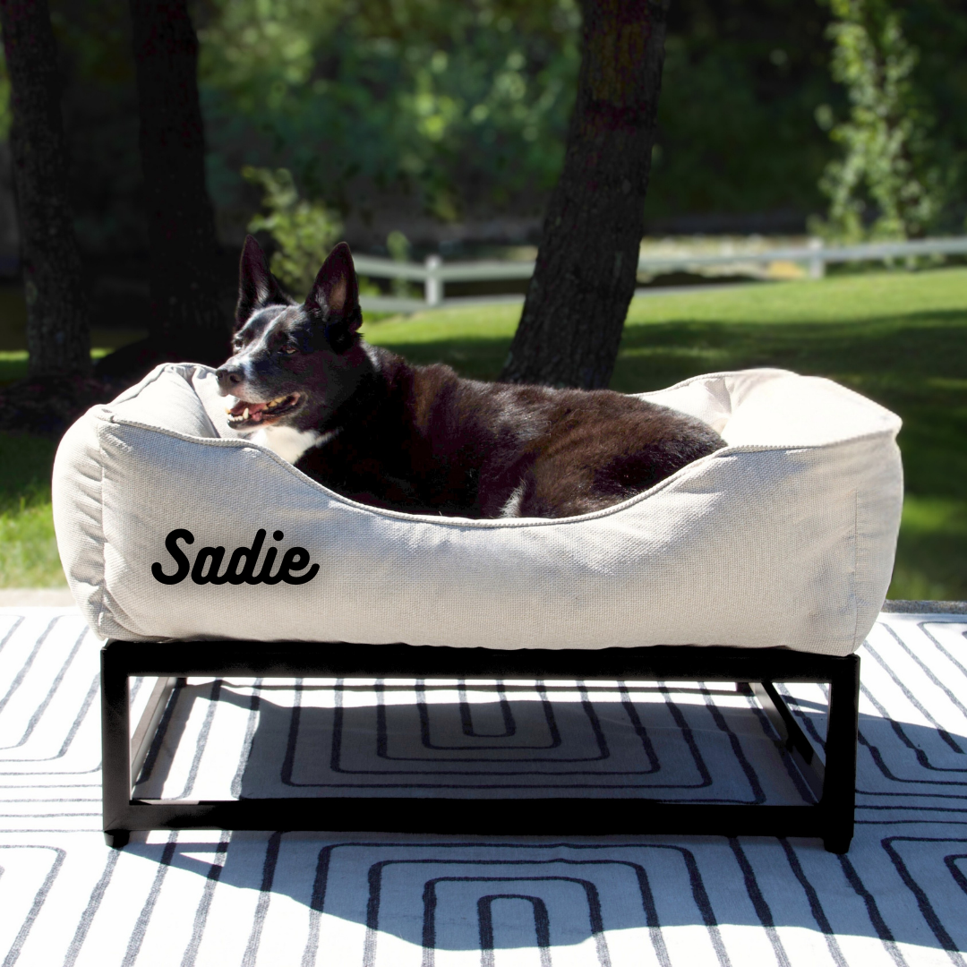 The FÜZI Elevated Dog Bed