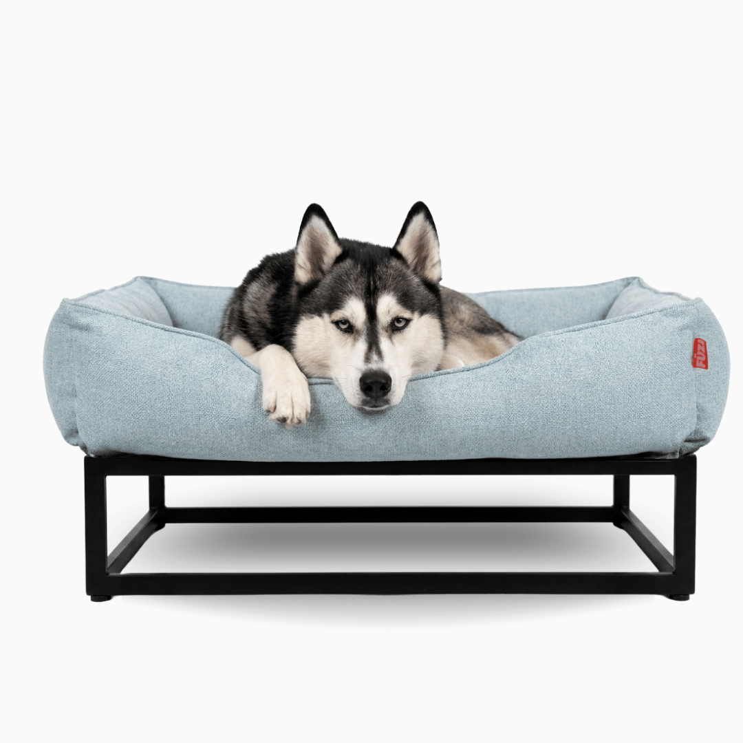The FÜZI Elevated Dog Bed