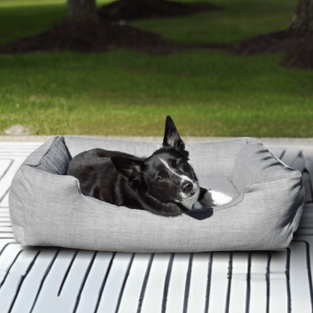 The Sammy Bolster Dog Bed