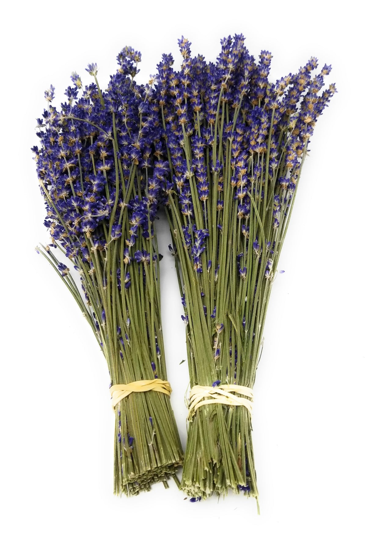 Royal Velvet Dried Lavender Bundles