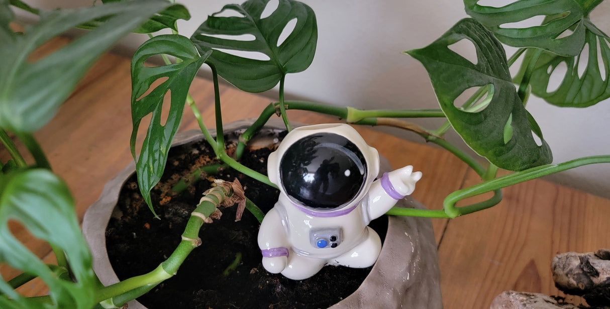 Ceramic Self-Watering Plant Spike - Astronaut Watering Spike