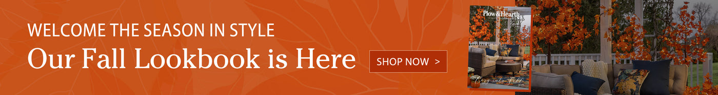 Welcome the Season in Style Our Fall Lookbook is Here Shop Now >