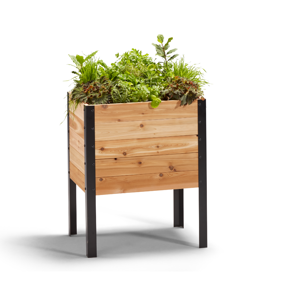 18″ x 24″ Deep Root Raised Garden Bed - 30″ TALL / Select Grade