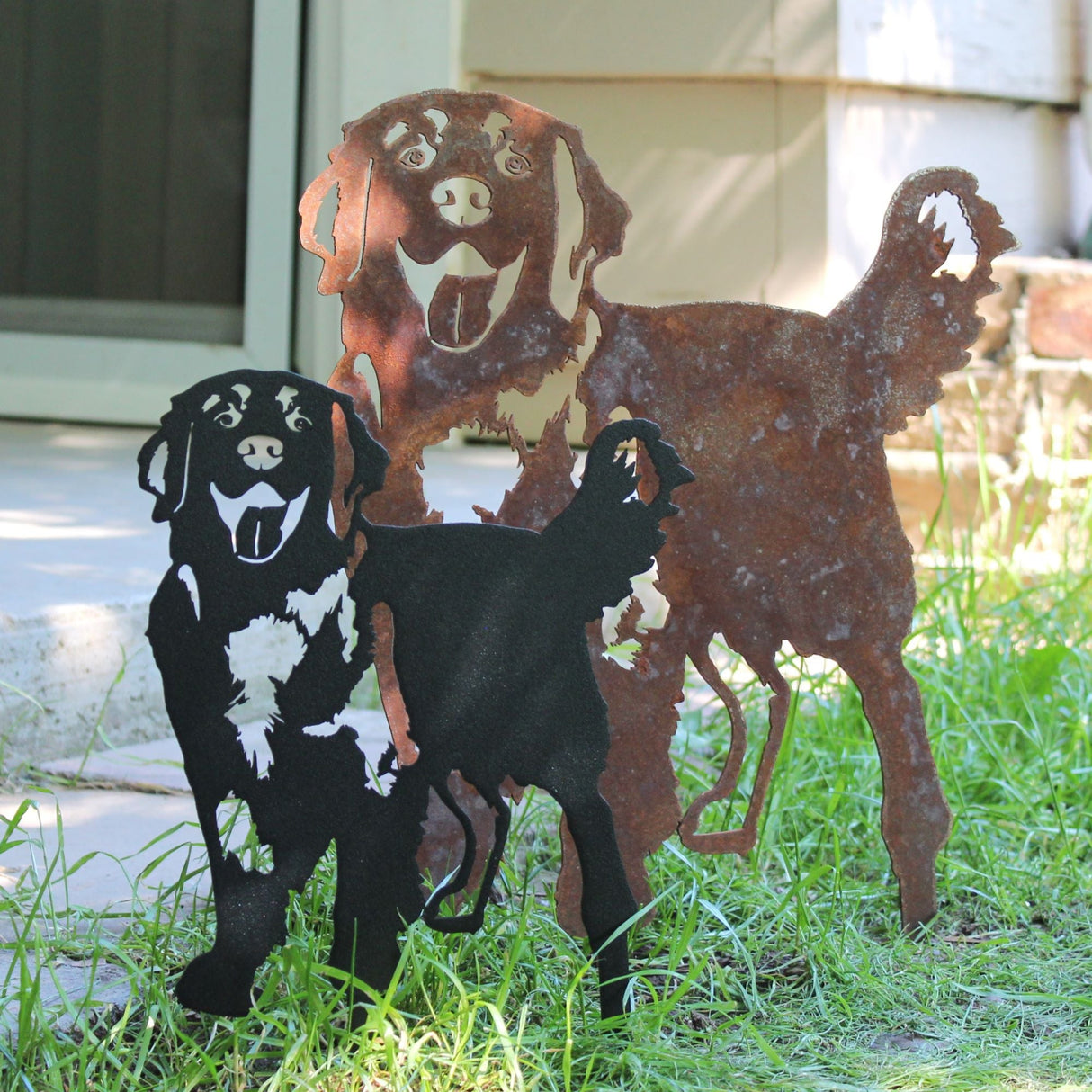Golden Retriever - Standing