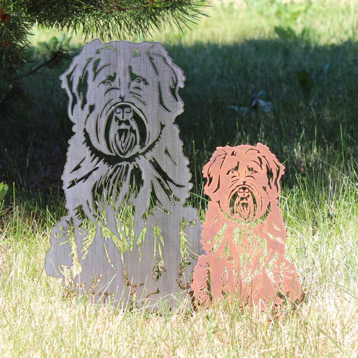 Bouvier Des Flandres