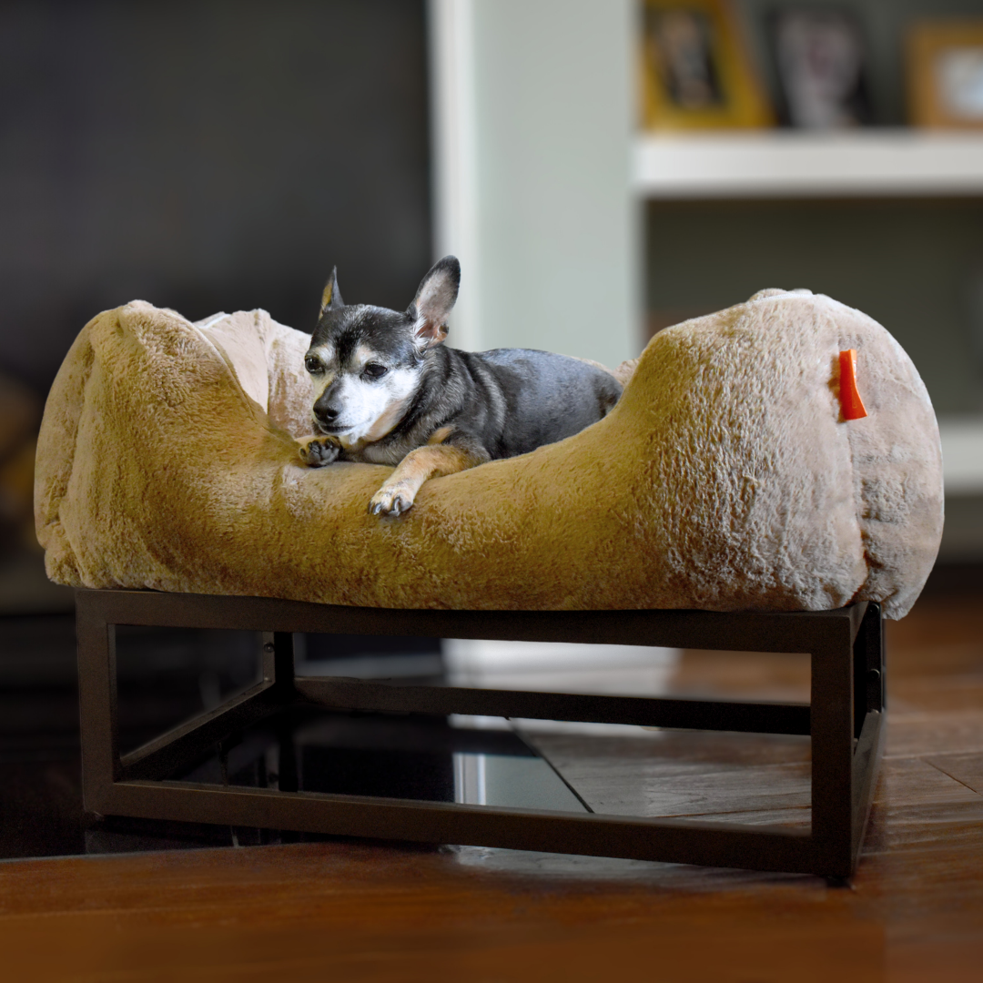 The FÜZI Elevated Dog Bed