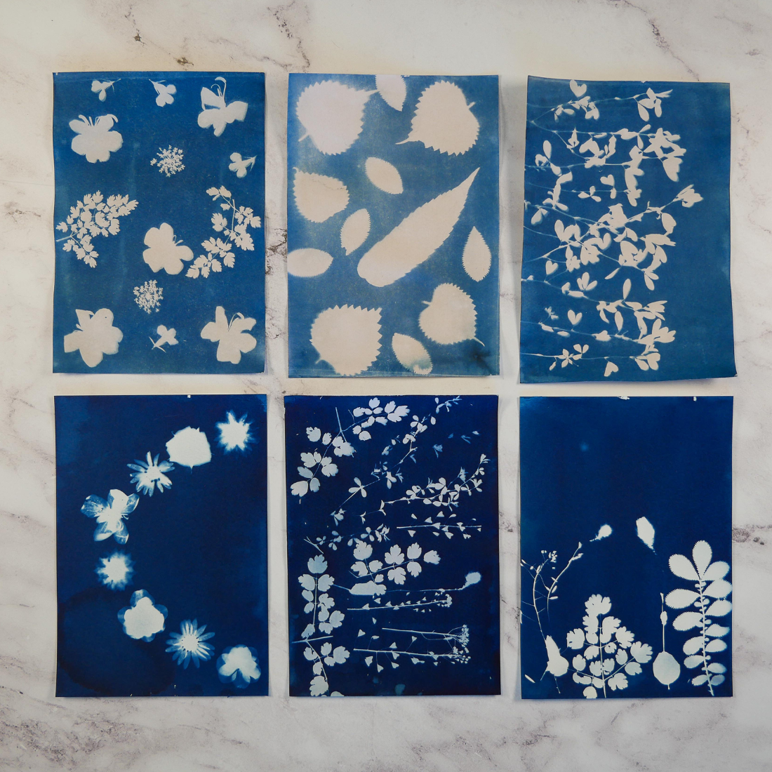 Cyanotype Kit
