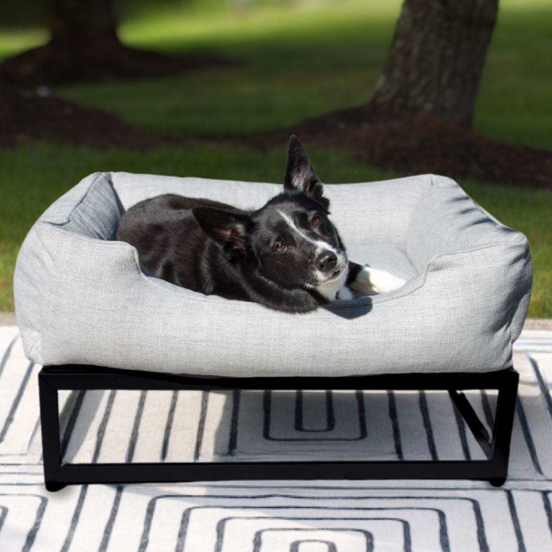 The FÜZI Dog Bed