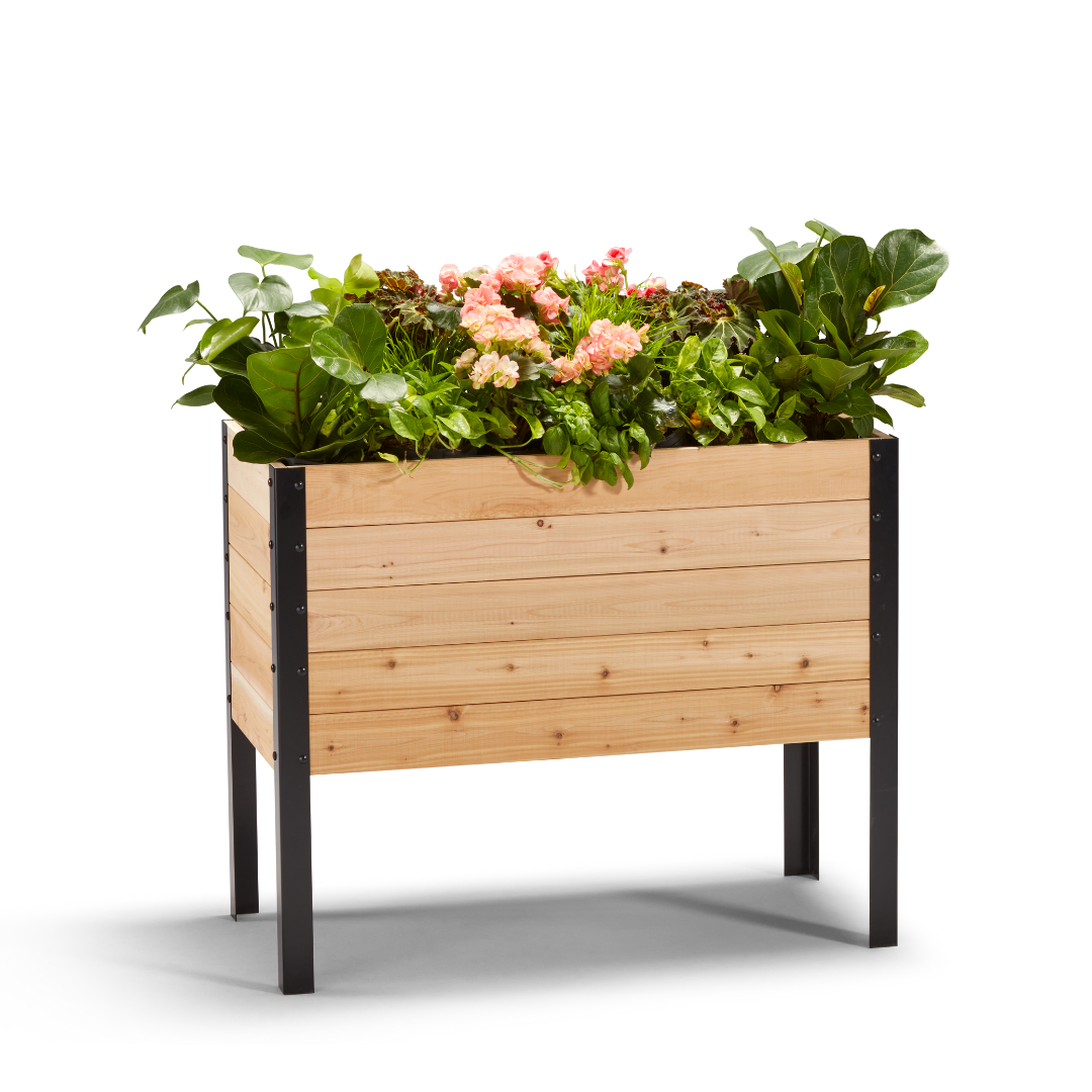 Cedar Raised Garden Bed, 18"W x 36"L