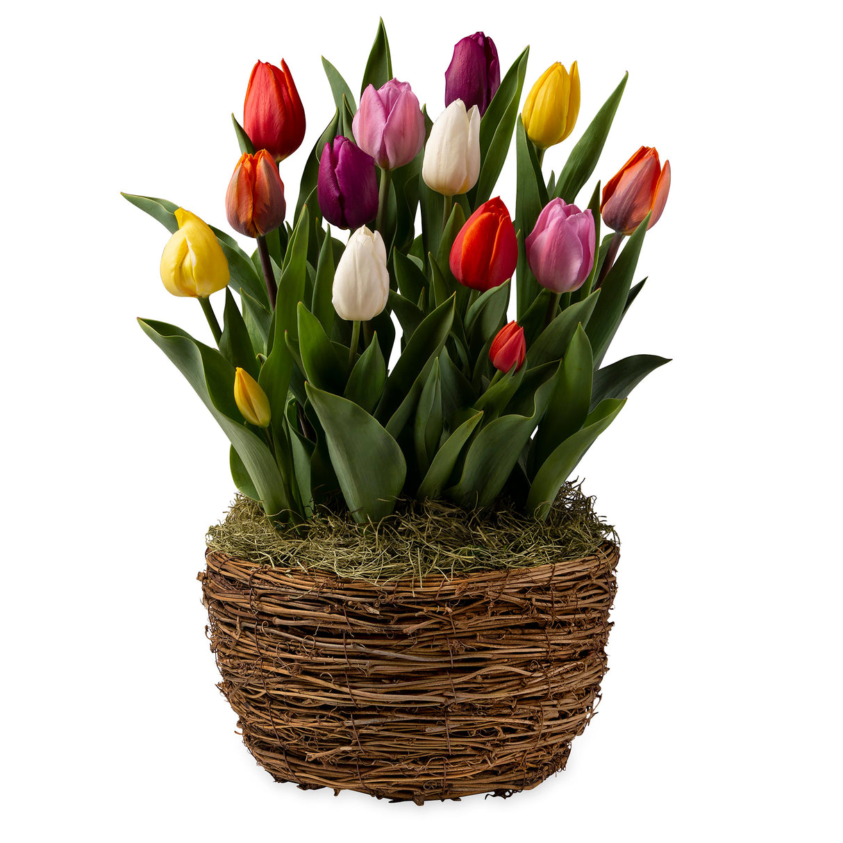 3909_204a2dca-8bdb-4ed7-85d1-bc11a4c03f5a