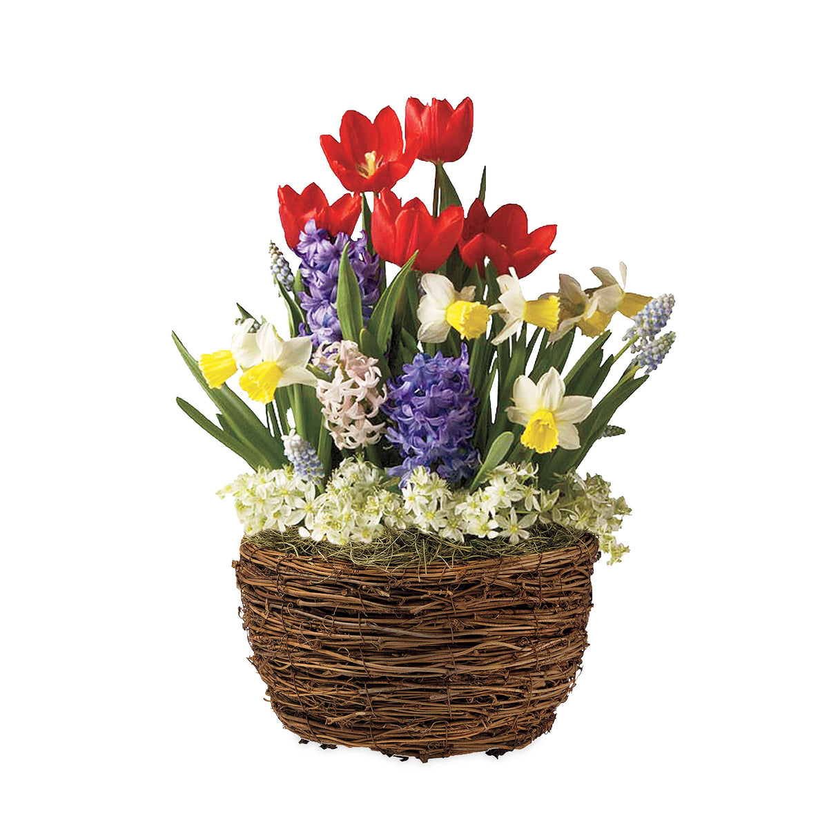 3909_d4d8be9c-7b94-4cd0-9454-8663ea90800a