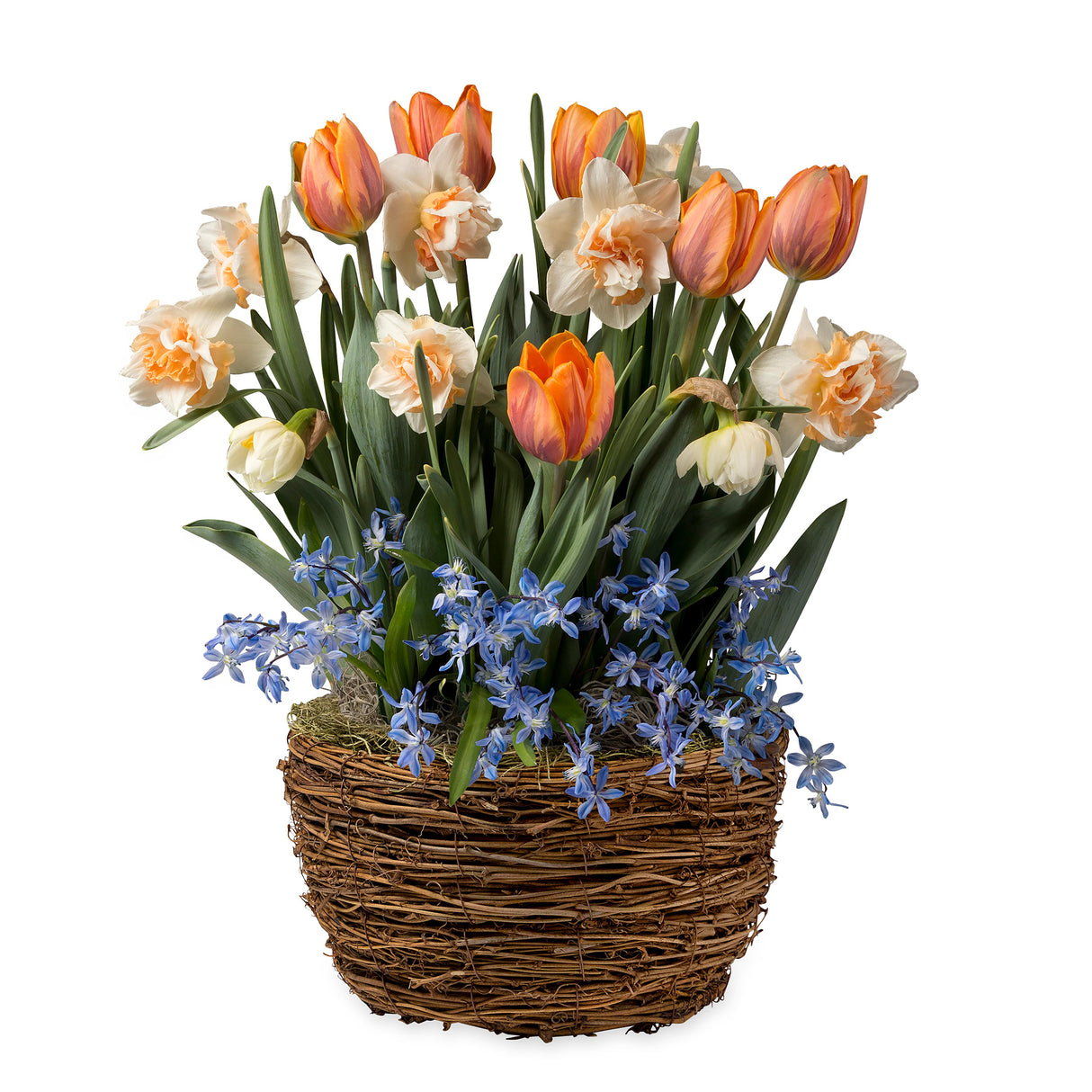 3909_fbc7b9f2-79c5-4f96-b8b8-697326cd2abb