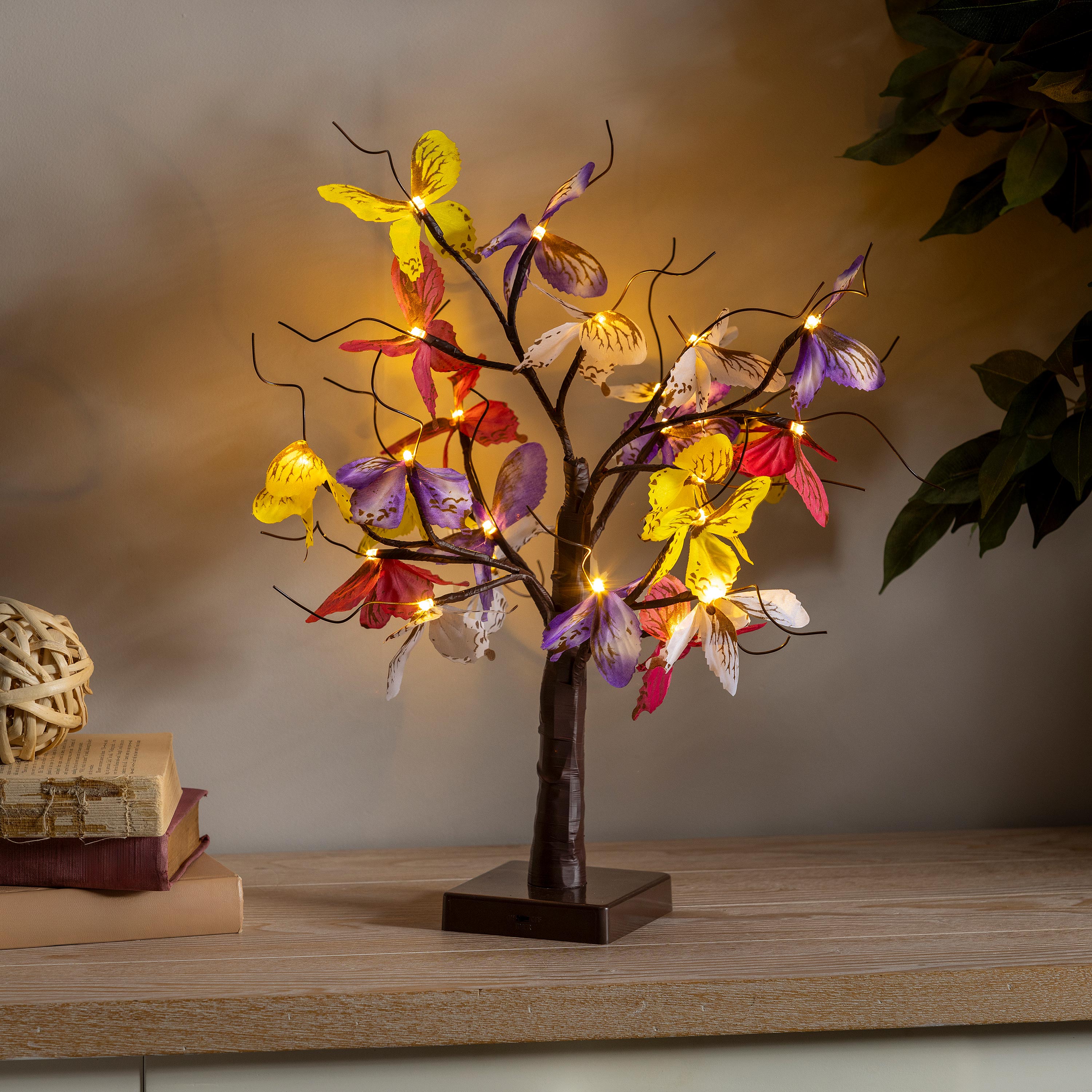 蝶の樹　Butterfly Tree #004 蝶の樹 Butterfly Tree #004