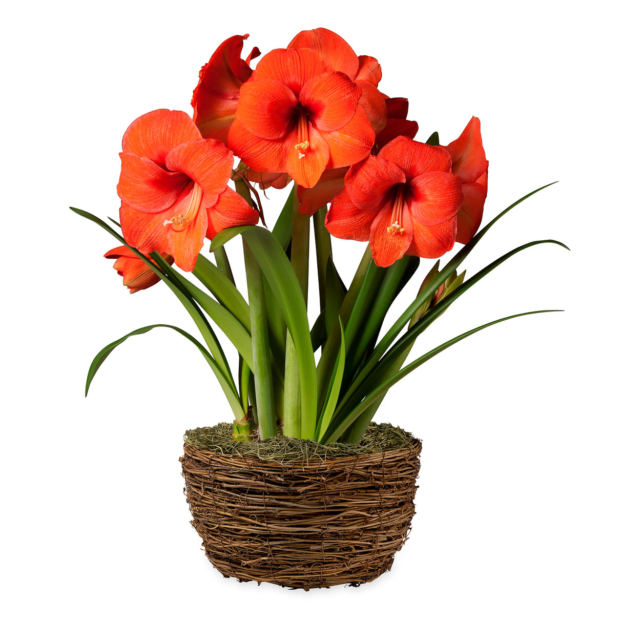 3909_f1d08036-d561-434d-98fa-b636effc4017