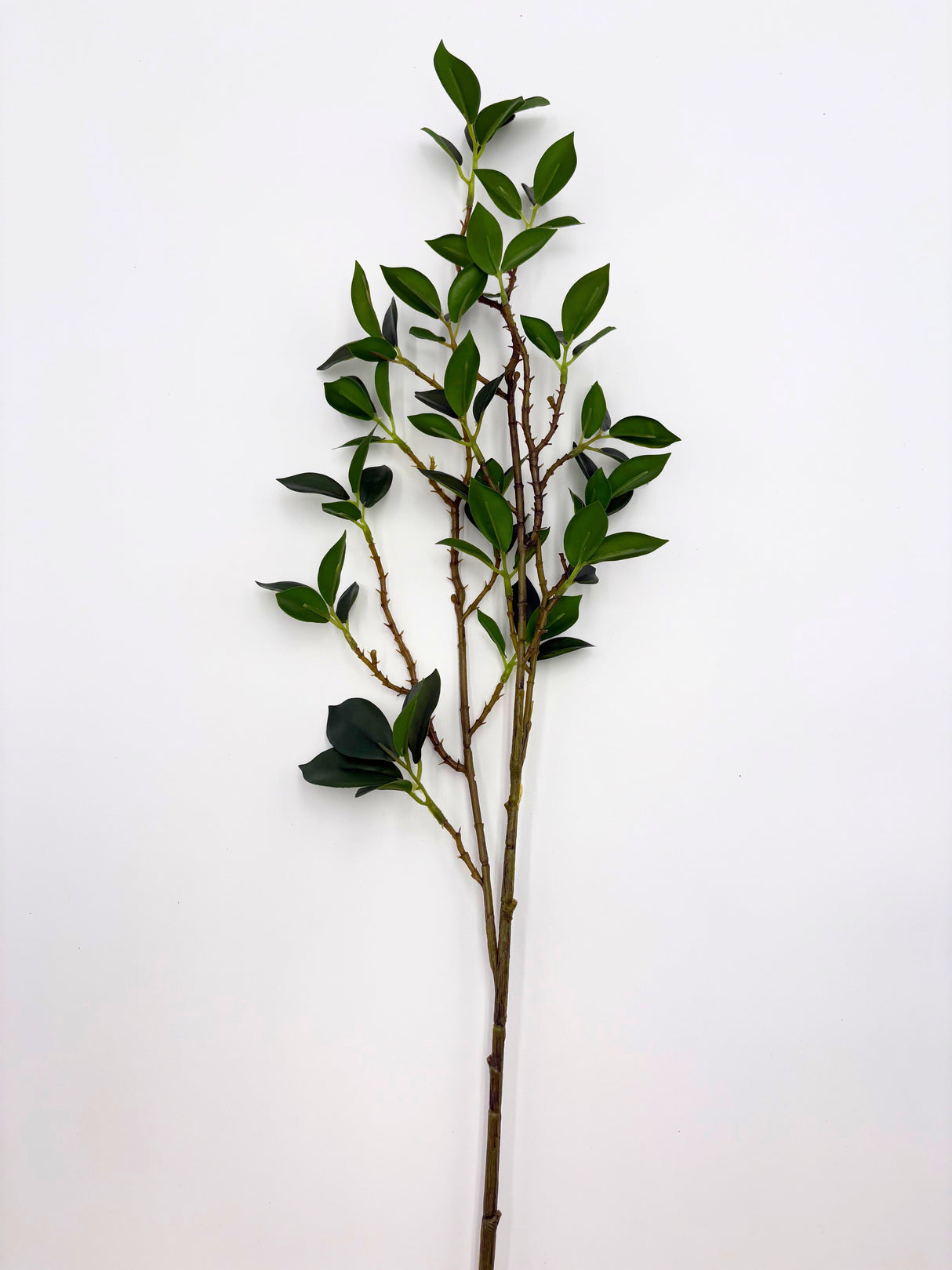 Real Touch Fiscus Microcarpa Stem - Bundle of 4 Stems