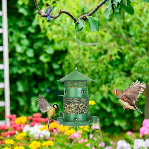Wild Bird Feeder