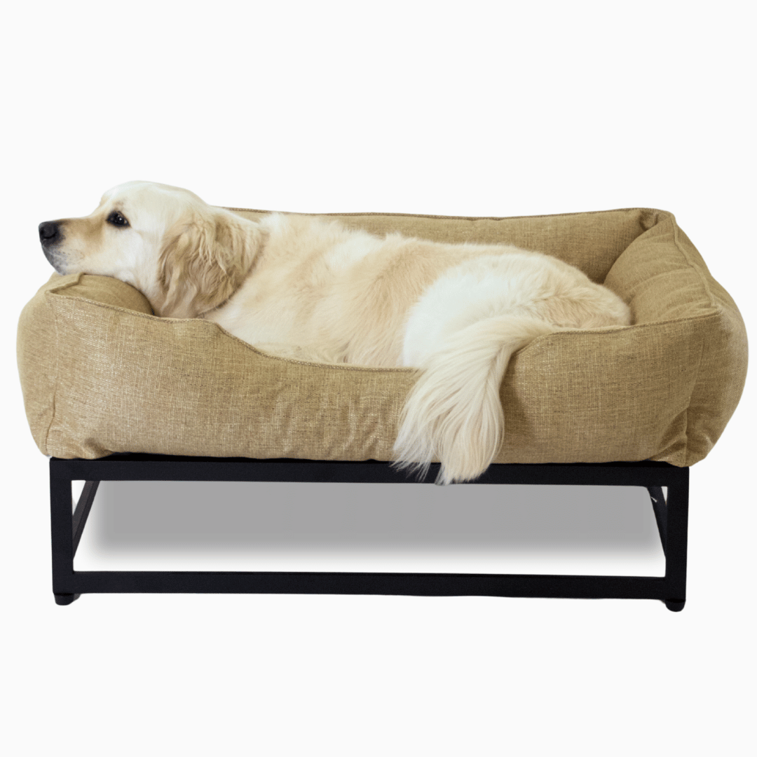 The FÜZI Dog Bed