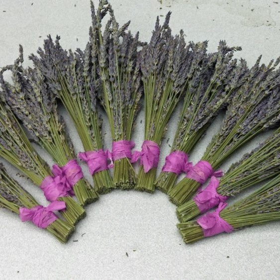 Lavender Small Dried Bundles 8" to 10" - Pack of 10