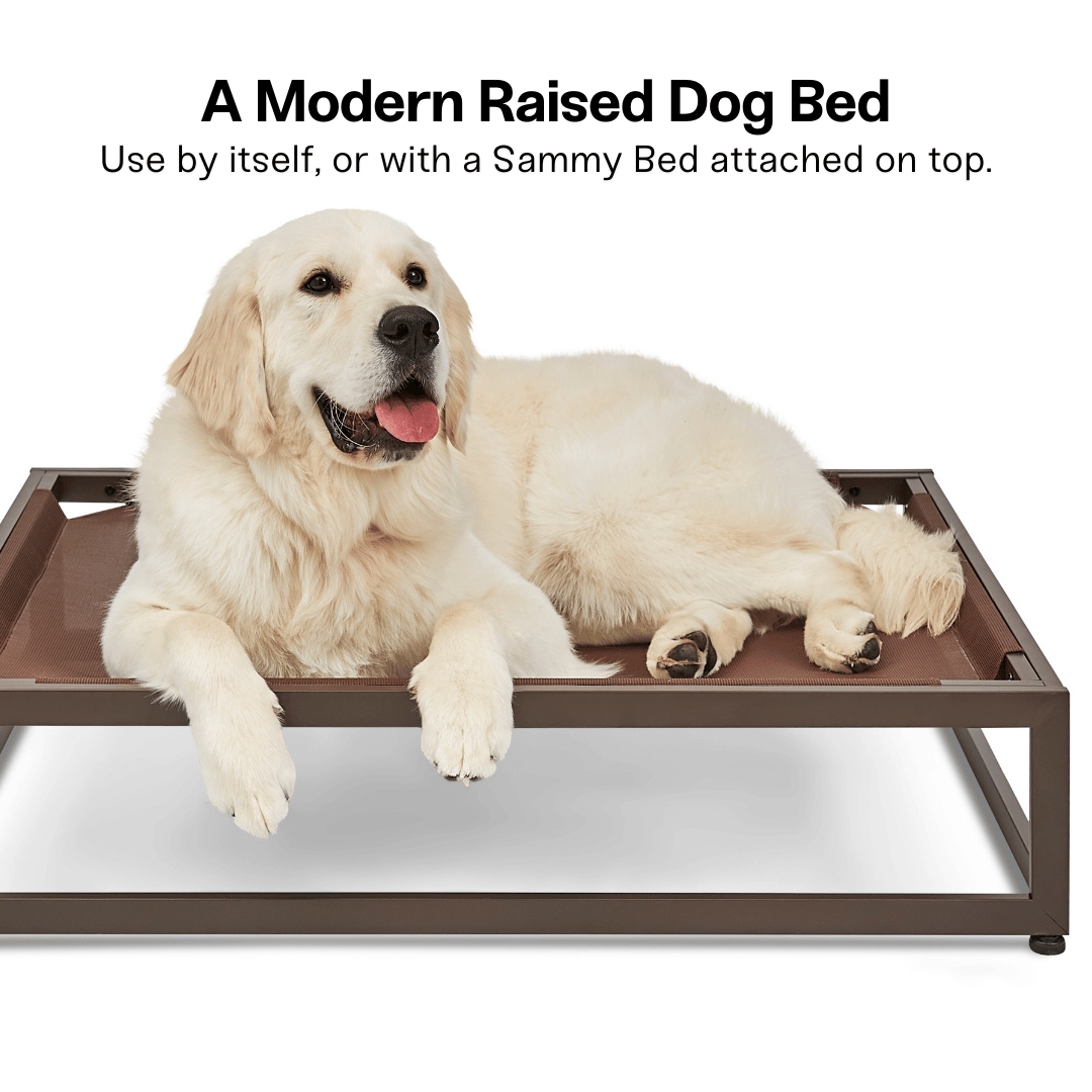 The Up Pup Dog Cot