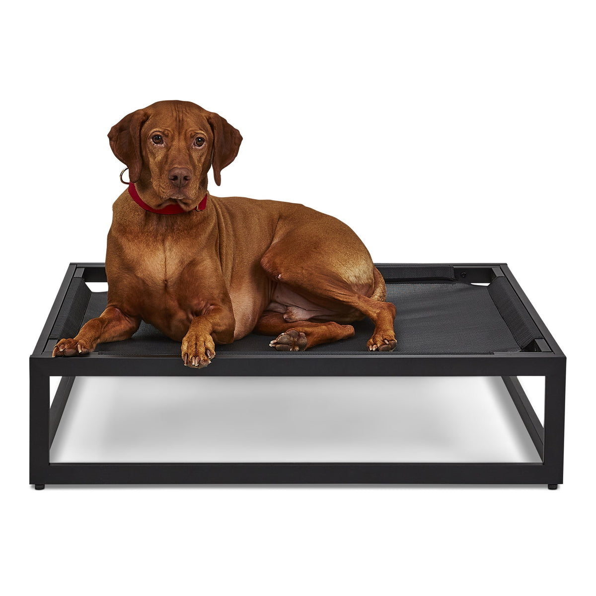 The Up Pup Dog Cot