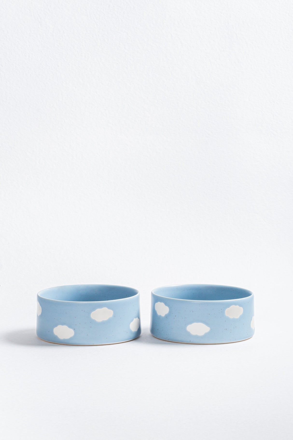 Set of 2 Blue Large Ceramic Pet Bowls