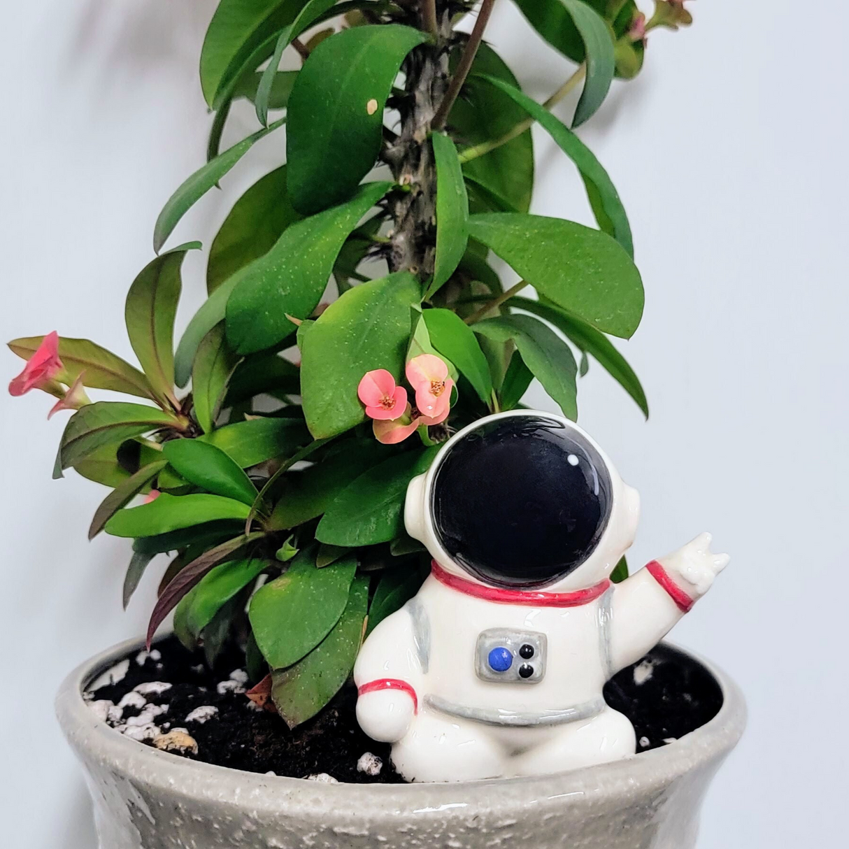 Ceramic Self-Watering Plant Spike - Astronaut Watering Spike