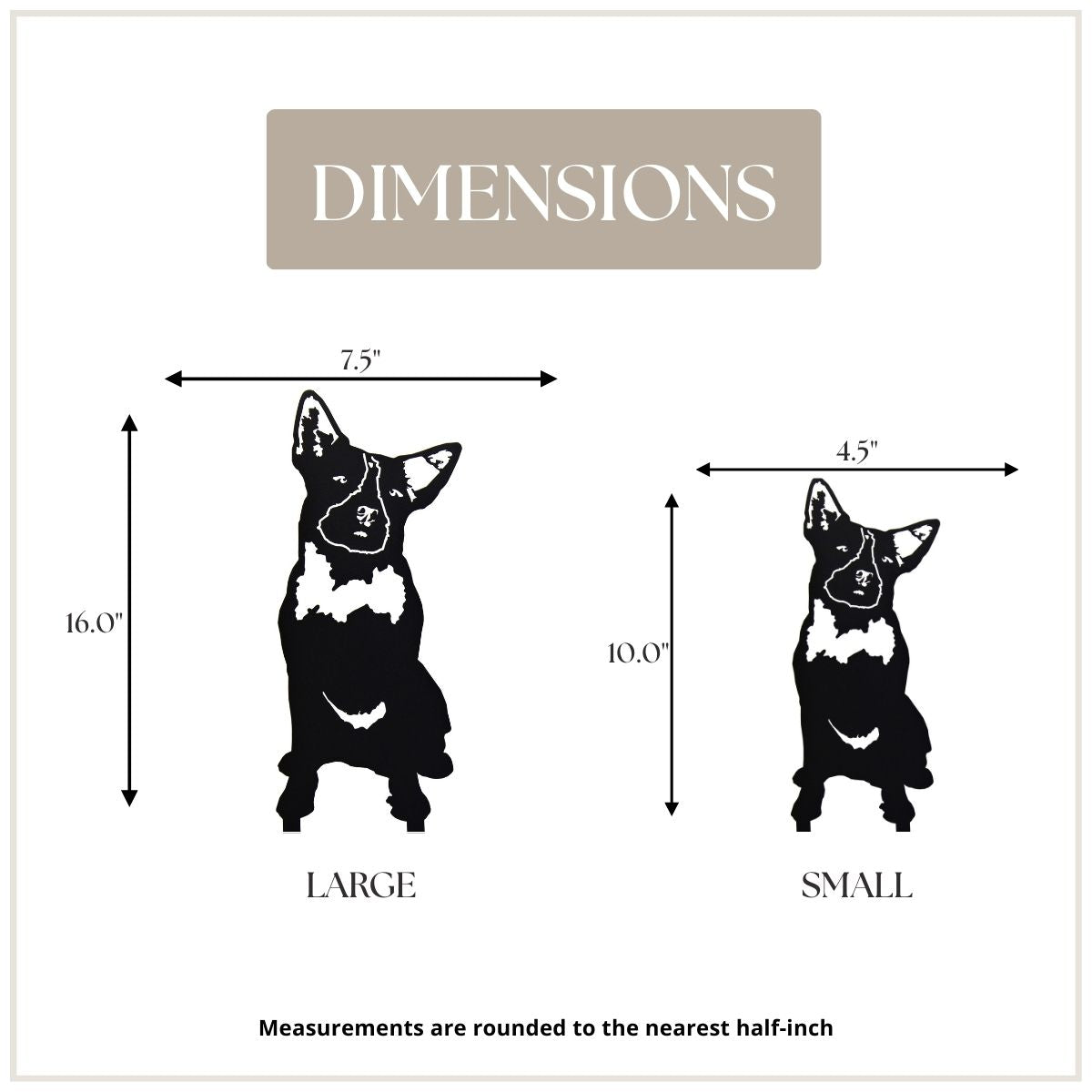Australian Cattle Dog