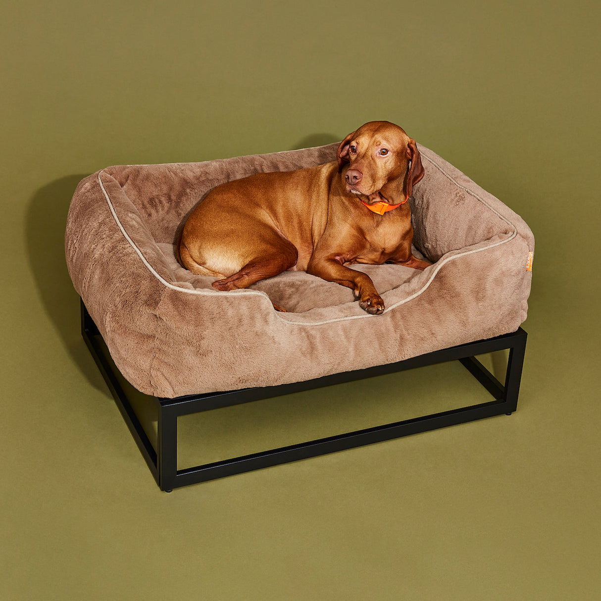 The FÜZI Dog Bed