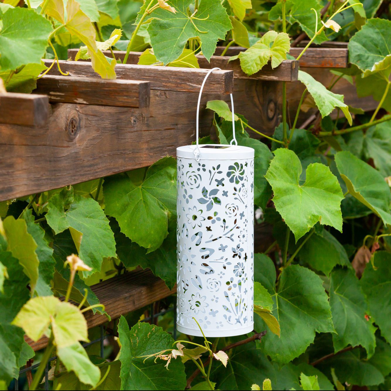 新品★LITENTent form BL Flower Jacquard 白 Bloom Punched Metal Solar Lantern - White – Plow & Hearth