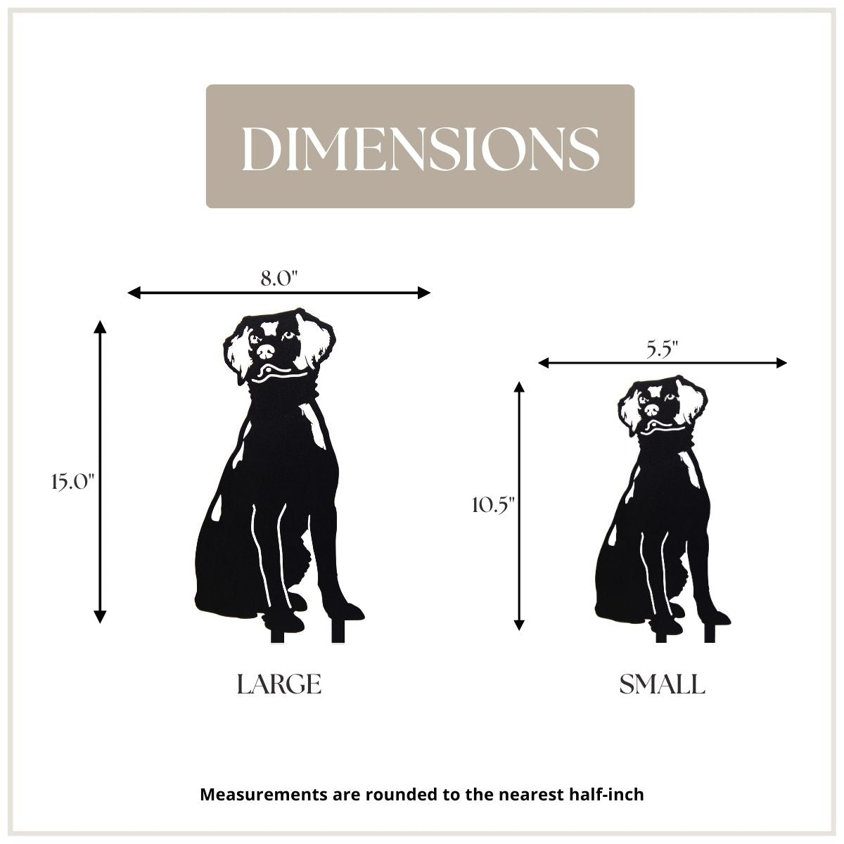 Nova Scotia Duck Tolling Retriever