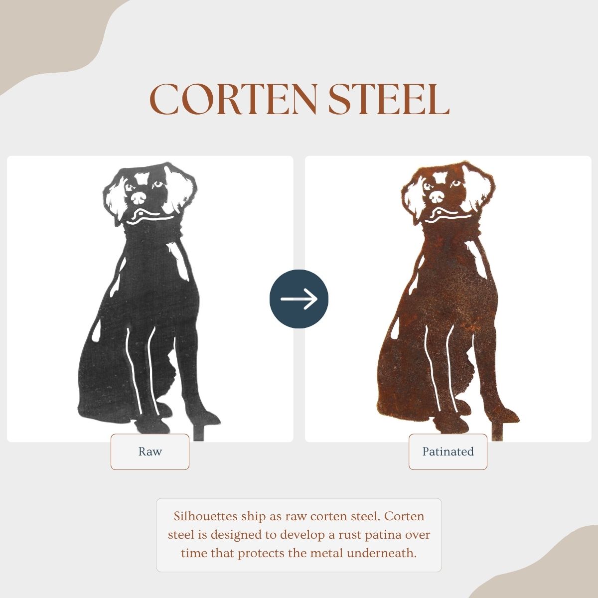 Nova Scotia Duck Tolling Retriever