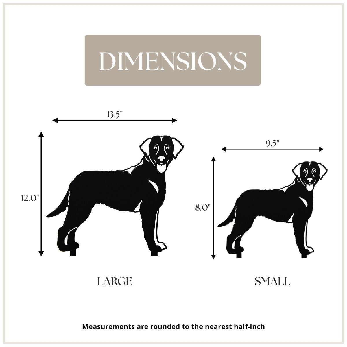 Curly Coated Retriever