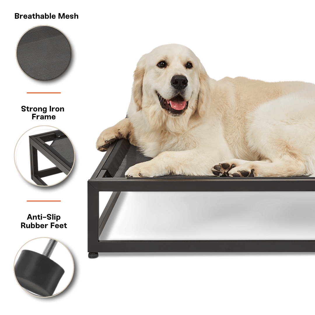 The Up Pup Dog Cot