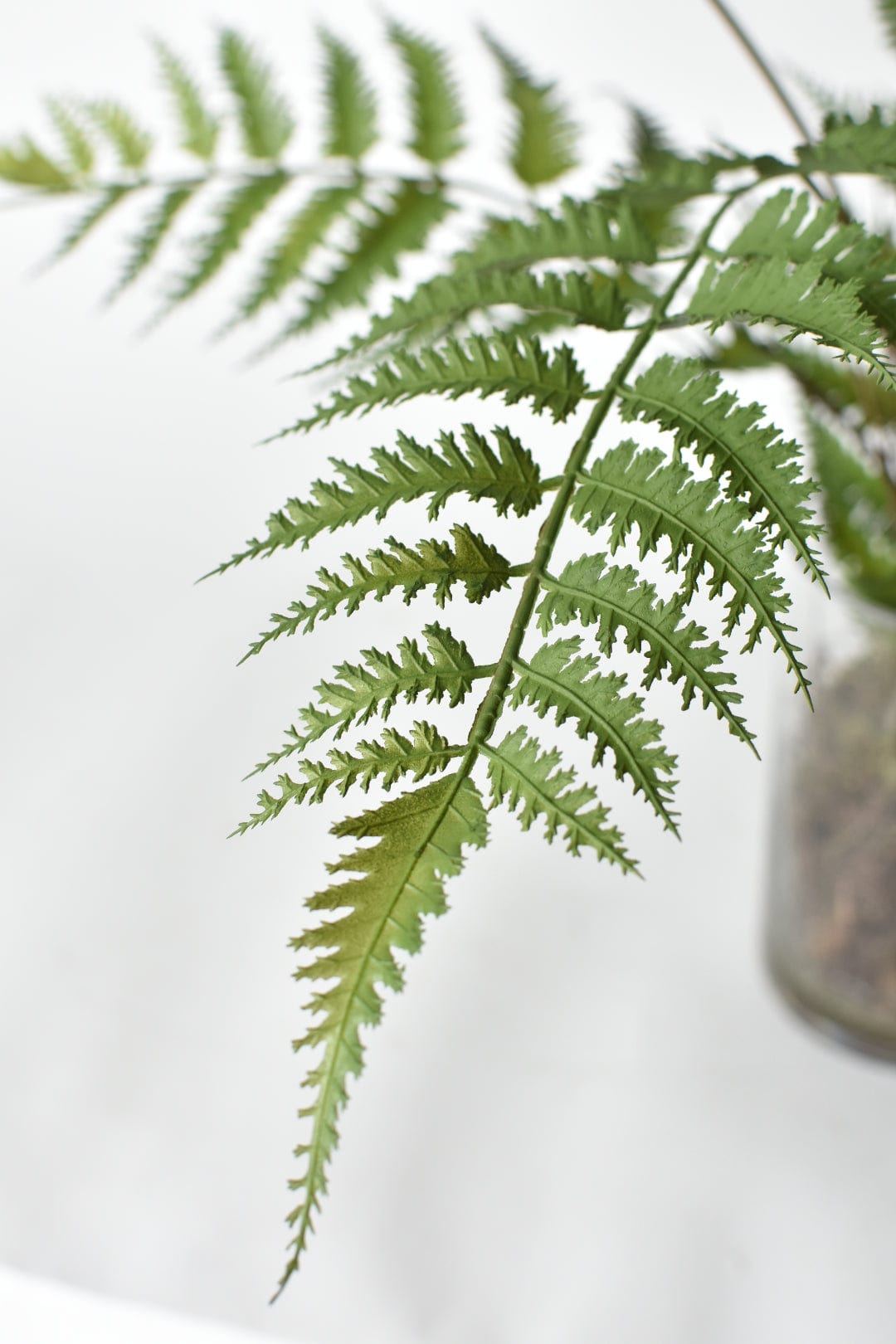 25" Faux Forest Fern in Glass Vase