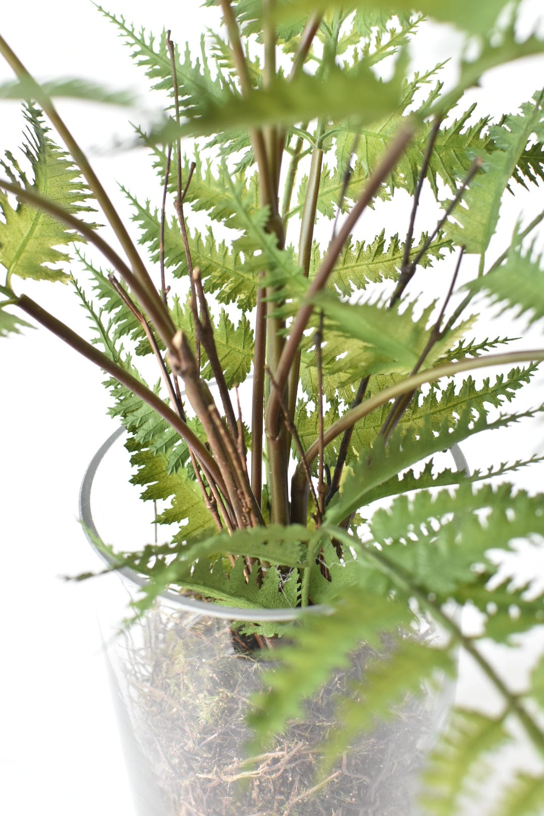 25" Faux Forest Fern in Glass Vase